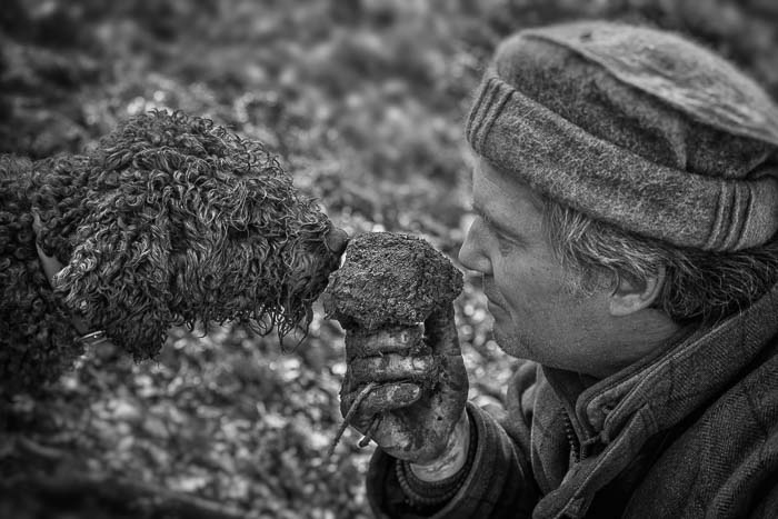 La truffe sous toutes ses formes #6