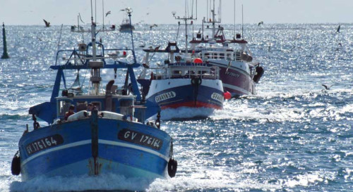 Découvertes iodées en Finistère