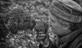 La truffe sous toutes ses formes #6