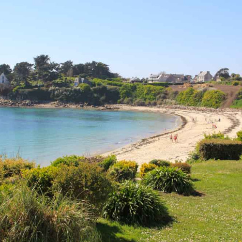 Culture bio de bord de mer